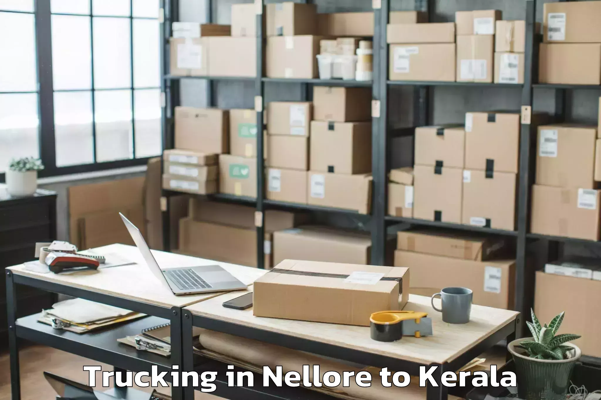 Hassle-Free Nellore to Kerala Kalamandalam Cheruthuru Trucking